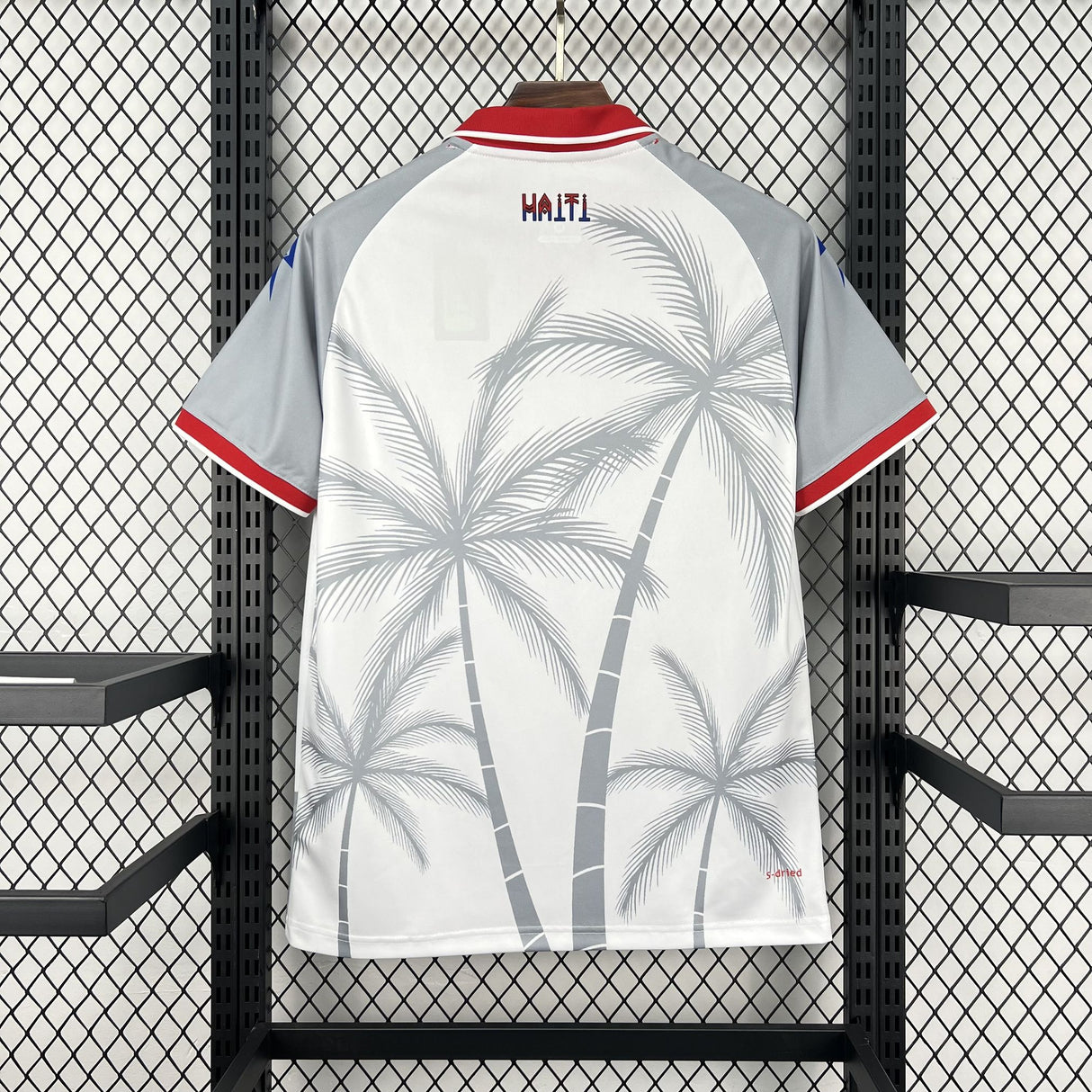 Camiseta Haití 26-27, Visitante, Mundial 2026