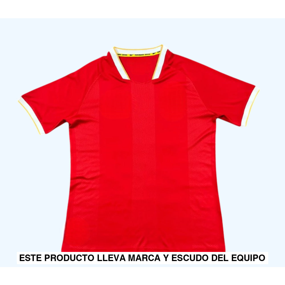 Camiseta Panamá 25-26 local Camiseta Fan