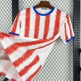 Camiseta Paraguay 26-27, Local, Mundial 2026
