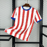 Camiseta Paraguay 26-27, Local, Mundial 2026