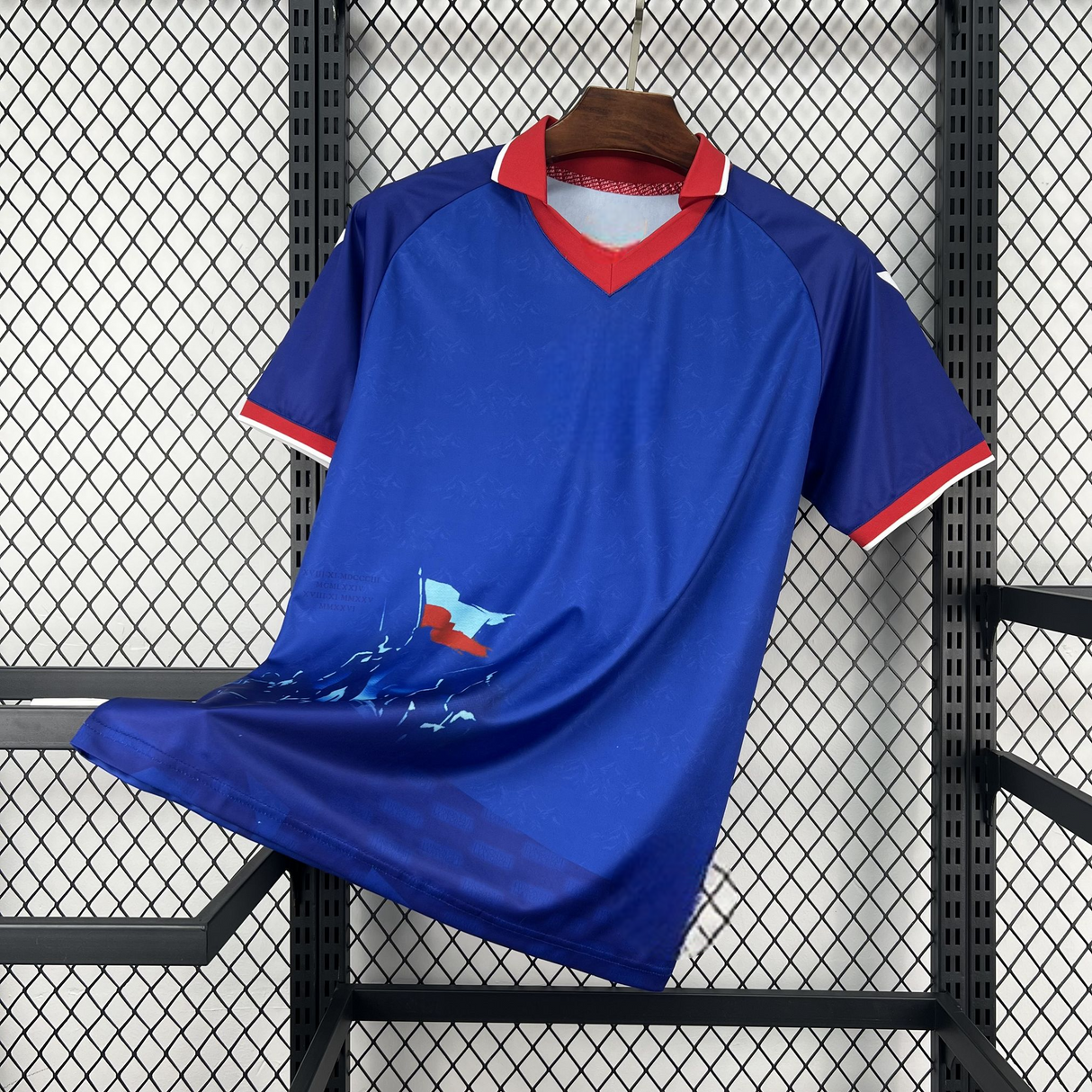 Camiseta Haití 26-27, Local, Mundial 2026