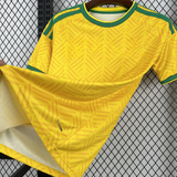 Camiseta Sudáfrica 26-27, Local, Mundial 2026