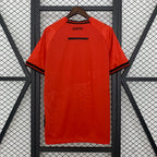 Camiseta Albania 25-26 Local Camiseta Fan