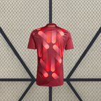 Camiseta Alemania 25-26 Visitante Camiseta Fan