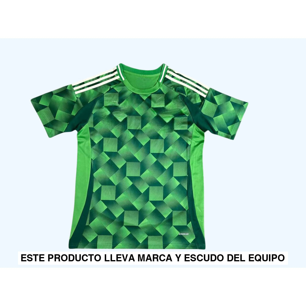 Camiseta Arabia Saudí 24-25 Local Camiseta Fan