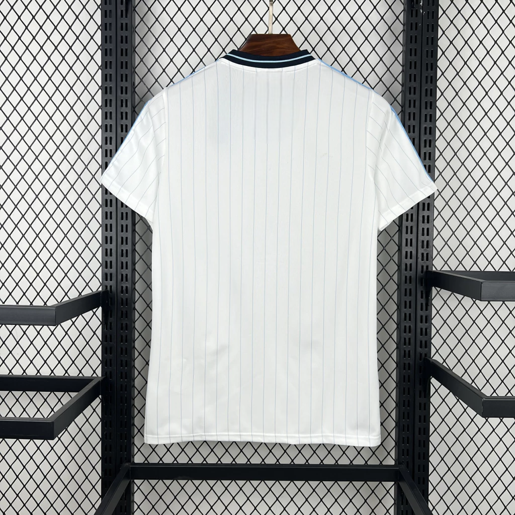 Camiseta Argentina 26-27 casual edición especial vista trasera con líneas verticales celestes