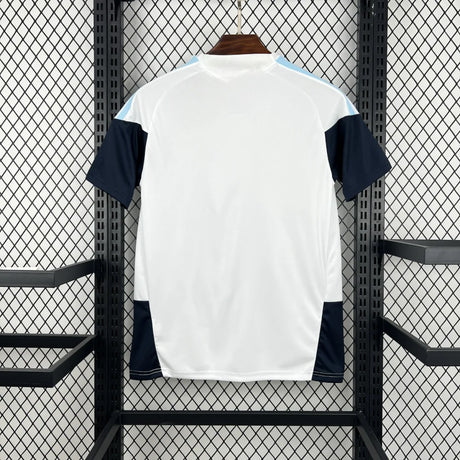 Camiseta Argentina 26-27 Entreinamento FIFA 2026 Camiseta Fan