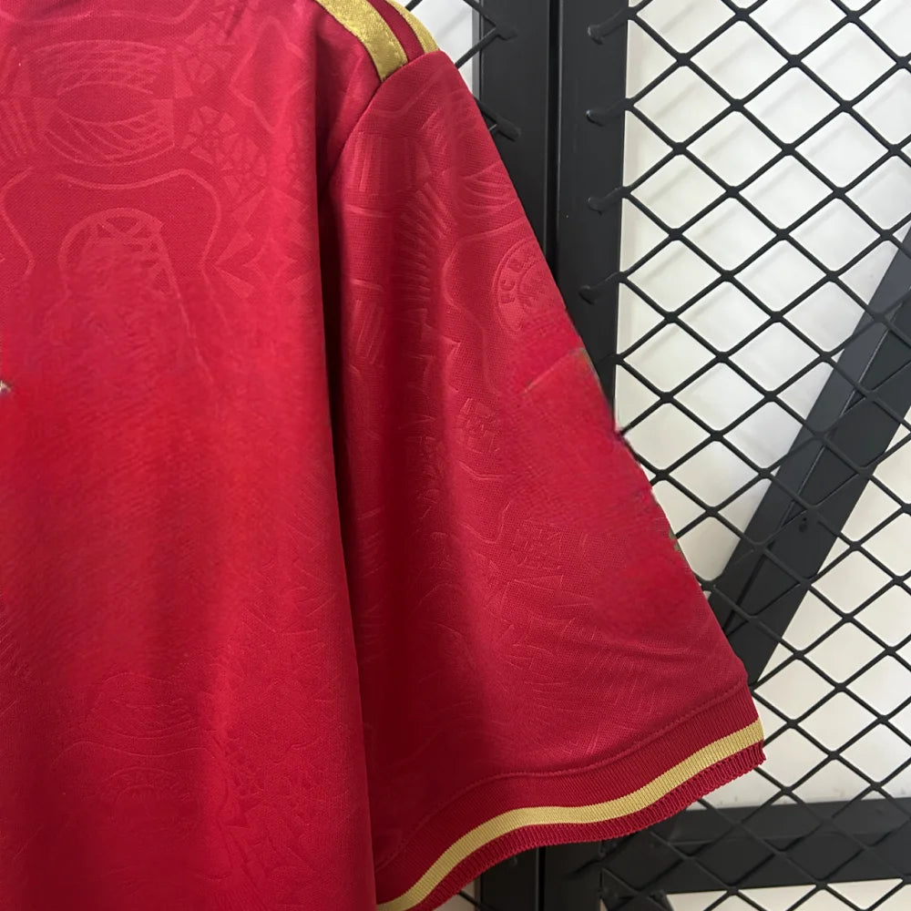 Camiseta Bayern Múnich 25-26 Edición Aniversario 125 Años Camiseta Fan