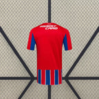 Camiseta Colo-Colo 25-26 3ª Equipación Camiseta Fan