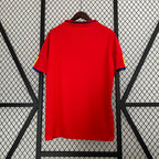 Camiseta España 2010 Local (Versión Retro) Camiseta Fan