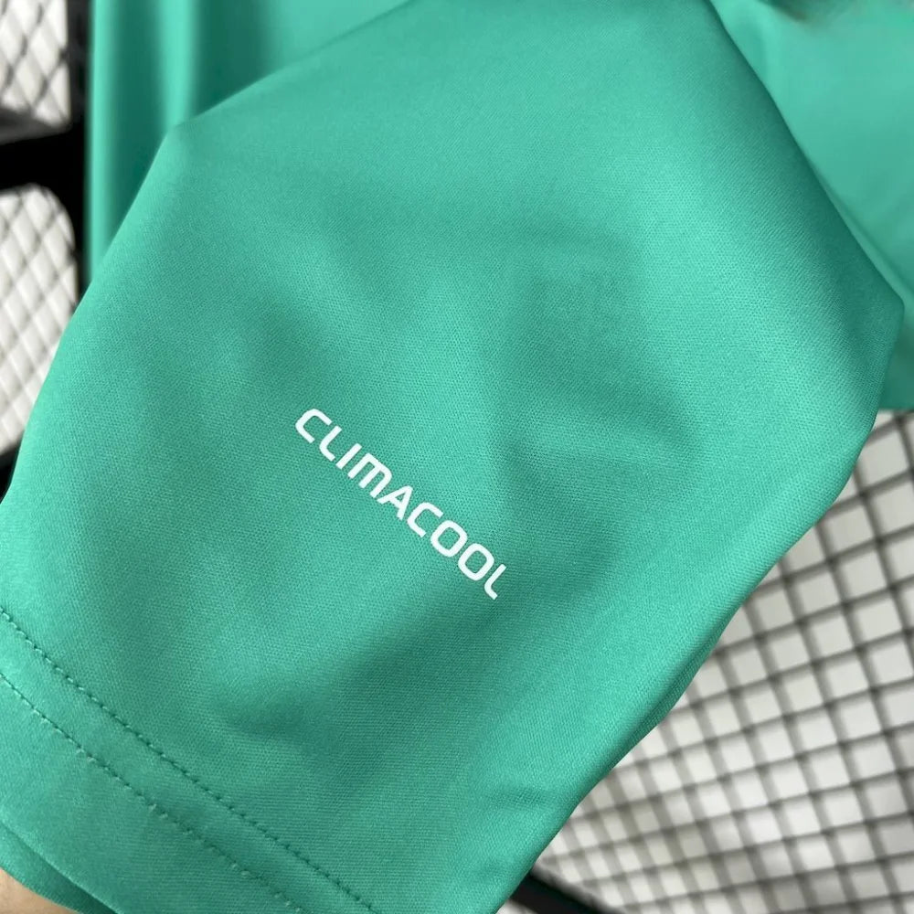 Camiseta España 2010 Portero Azul/verde (Versión Retro) Camiseta Fan