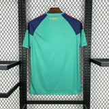 Camiseta España 2010 Portero Azul/verde (Versión Retro) Camiseta Fan