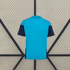 Camiseta España 25-26 Entreinamento FIFA 2026 Camiseta Fan