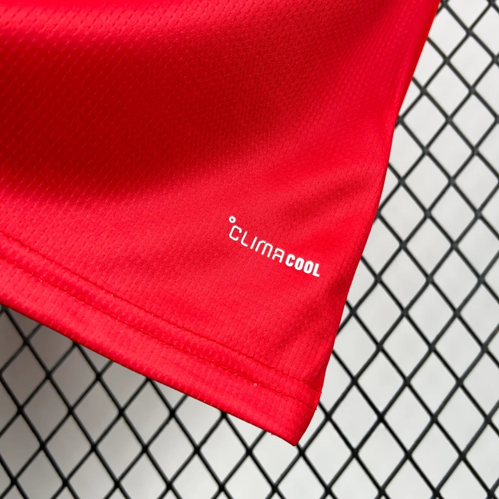 Camiseta Gales 25-26 Local FIFA 2026 Camiseta Fan