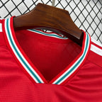 Camiseta Gales 25-26 Local FIFA 2026 Camiseta Fan