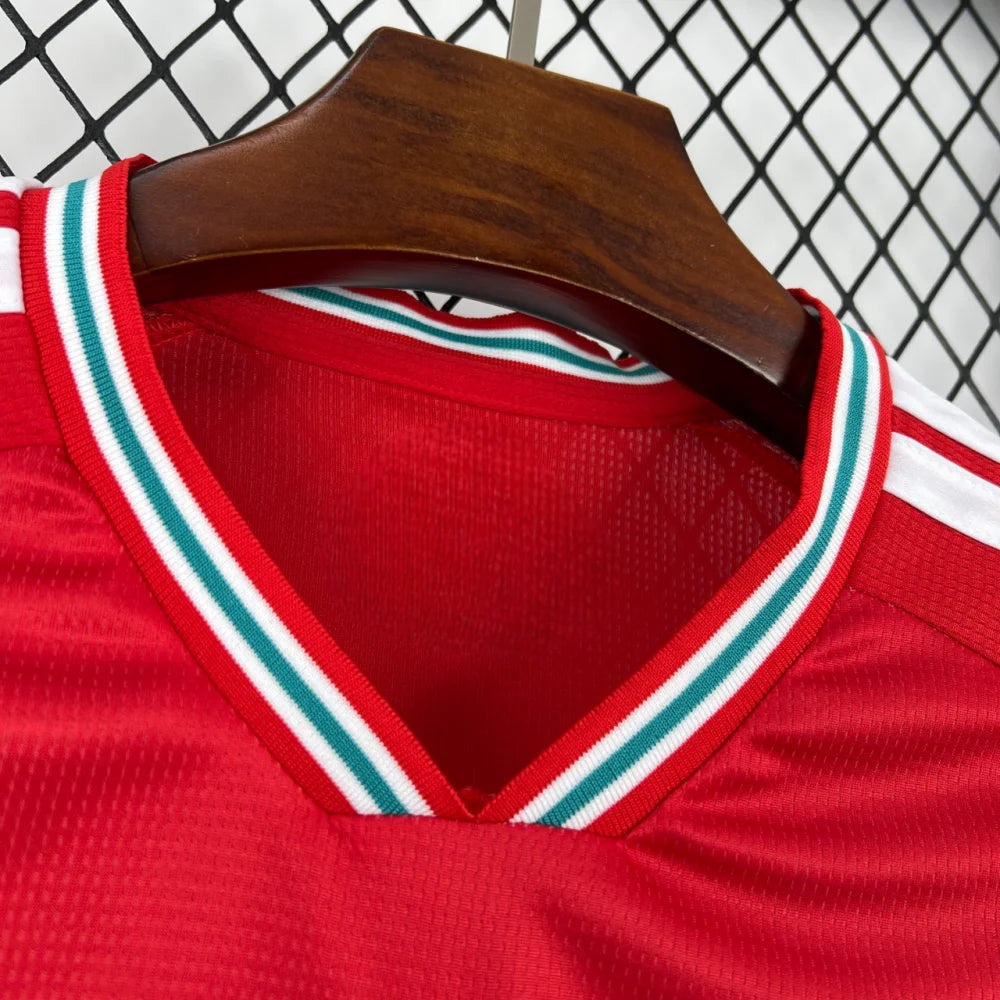 Camiseta Gales 25-26 Local FIFA 2026 Camiseta Fan