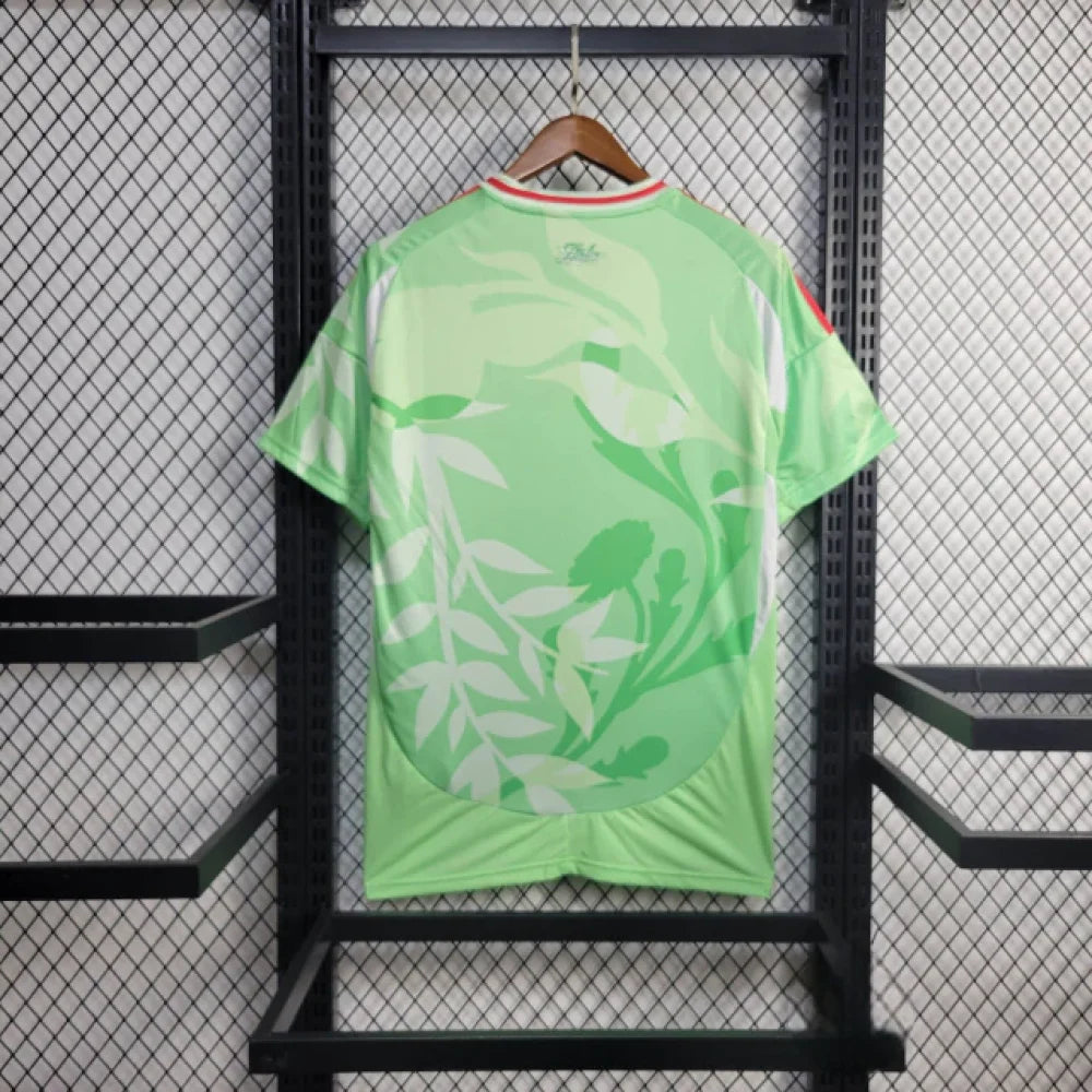 Camiseta Italia 25-26 Visitante Camiseta Fan