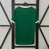 Camiseta Palmeiras 25-26 Local Camiseta Fan