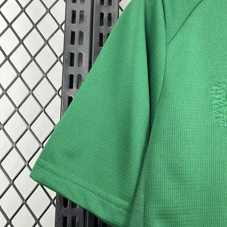 Camiseta Palmeiras 26-27 Local Camiseta Fan