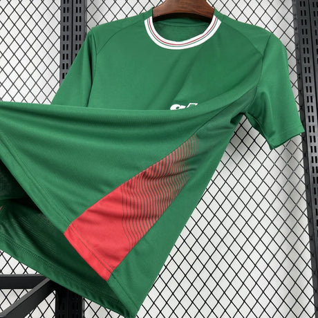 Camiseta Palmeiras 26-27 Local Camiseta Fan