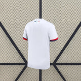 Camiseta PSG 25-26 Visitante Camiseta Fan