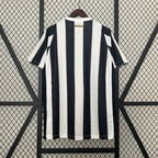 Camiseta Santos 24-25 Visitante Camiseta Fan