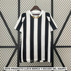 Camiseta Santos 24-25 Visitante Camiseta Fan