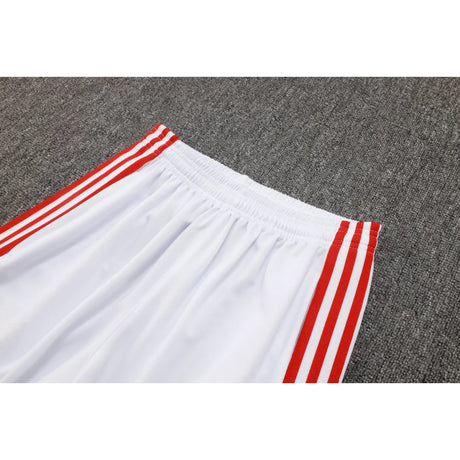 Chandal Bayern Munich 25-26 cremallera completa Modelo 3 Chandal Cremallera Completa